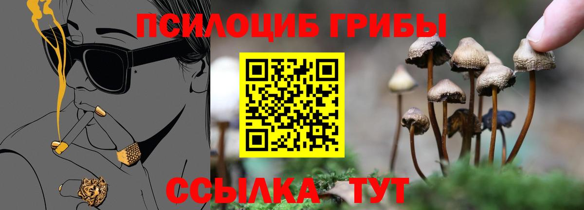 Галлюциногенные грибы MAGIC MUSHROOMS Ржев