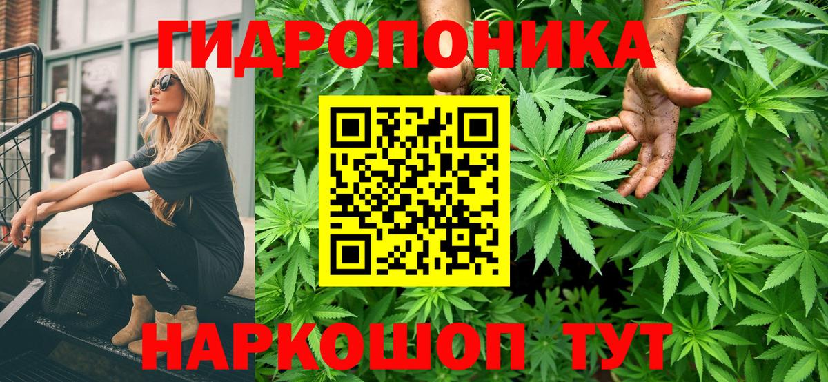 Каннабис сатива Ржев